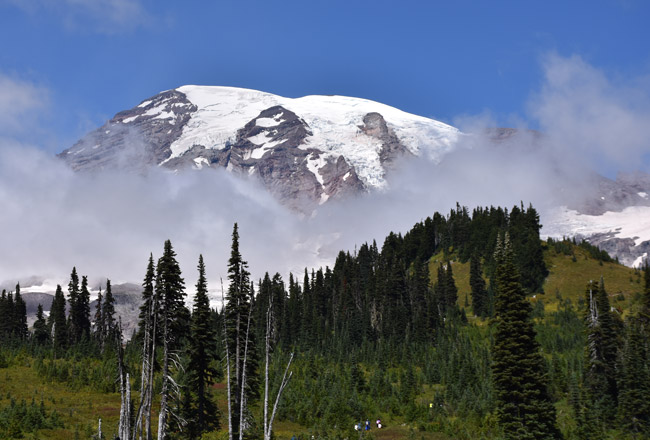 Paradise,Visitor,Center,Mount Rainier