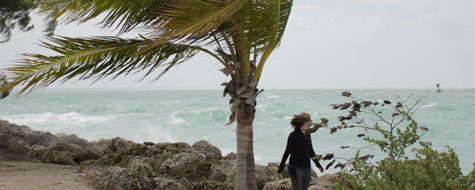 Storm,Vand,Kvinde,Palme,Key West
