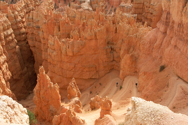 Hikers,Nedstigning,Sti,Hoodoo,Bryce Canyon