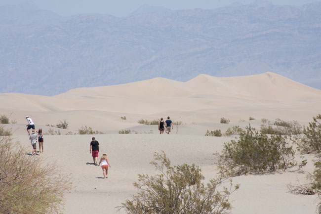 Sand Dunes,Folk,Buske,Death Valley